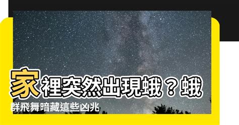 家裡突然出現很多蛾|【防治項目 